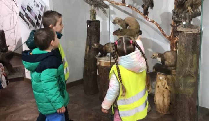 Zobraziť fotografiu