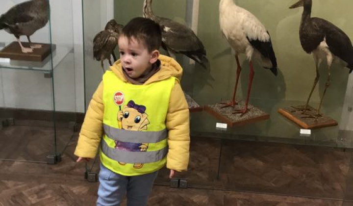 Zobraziť fotografiu