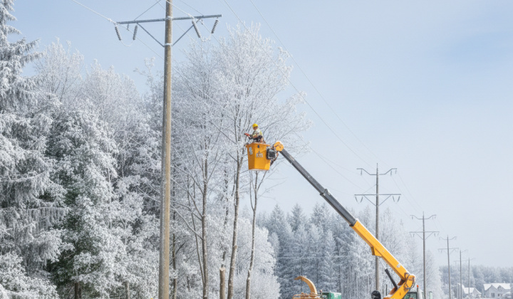 Fotka - Výzva na okliesnenie a odstránenie stromov